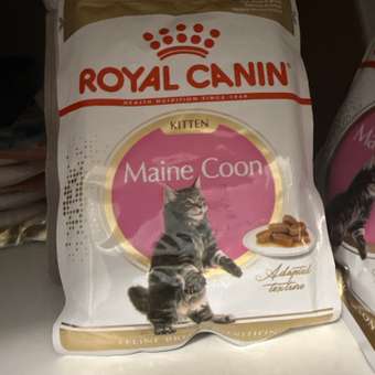 Корм для котят Royal Canin 85г Maine Coon Kitten соус для котят мейн кун пауч: отзыв пользователя. Зоомагазин Зоозавр