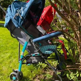 Коляска прогулочная Babyton Zoo Red: отзыв пользователя ДетМир