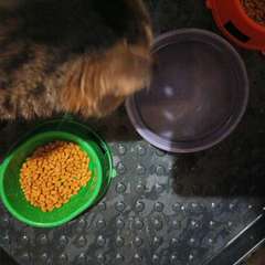 Фото отзыва 10922330