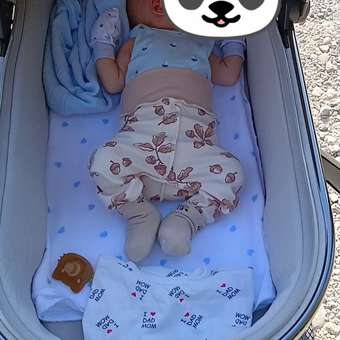 Коляска 2в1 Amarobaby Motus V2 белый: отзыв пользователя Детский Мир