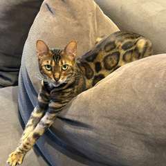 Фото отзыва 10572624