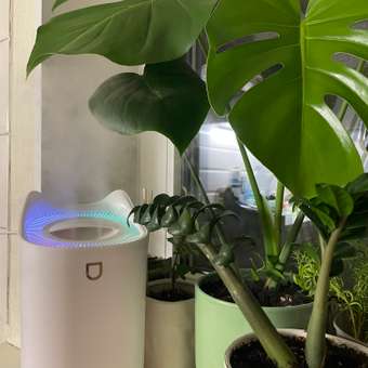 Увлажнитель BabyGo: отзыв пользователя Детский Мир