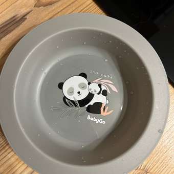 Тарелка BabyGo Grey: отзыв пользователя Детский Мир