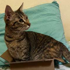 Фото отзыва 10337238