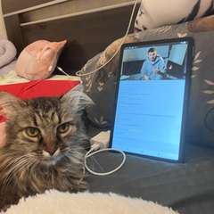 Фото отзыва 11002748