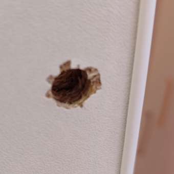 Детская кроватка Alatoys 120*60, без маятника (бежевый, белый): отзыв пользователя Детский Мир