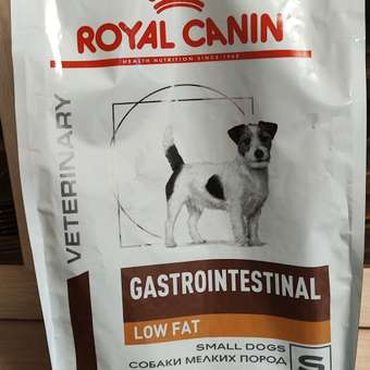 Корм для собак ROYAL CANIN Gastrointestinal low fat мелких пород 3кг: отзыв пользователя. Зоомагазин Зоозавр