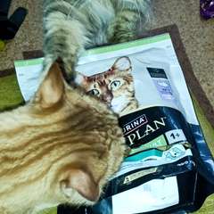 Фото отзыва 11293628