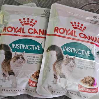 Корм для кошек ROYAL CANIN Instinctive 85г для пожилых 7+ соус пауч: отзыв пользователя. Зоомагазин Зоозавр