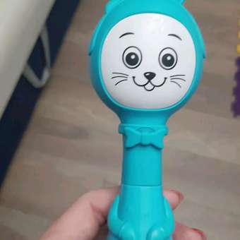 Игрушка BertToys погремушка: отзыв пользователя Детский Мир