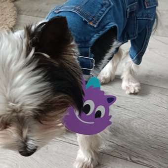 Полукомбинезон для собак и кошек Зоозавр: отзыв пользователя. Зоомагазин Зоозавр