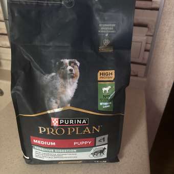 Корм сухой для щенков PRO PLAN SENSITIVE DIGESTION 1.5 кг с ягненком для средних пород: отзыв пользователя. Зоомагазин Зоозавр