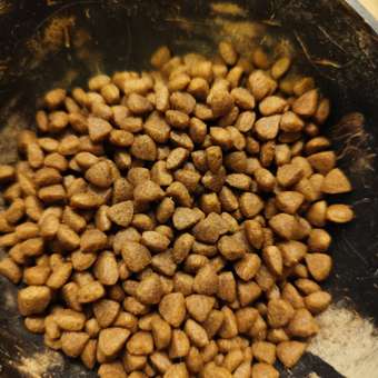 Корм для кошек Grandorf 2кг белая рыба: отзыв пользователя. Зоомагазин Зоозавр