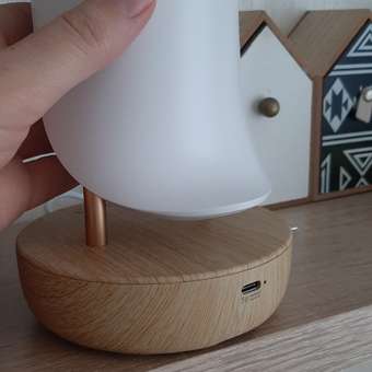 Ночник Attivio Bluetooth Тукан: отзыв пользователя ДетМир