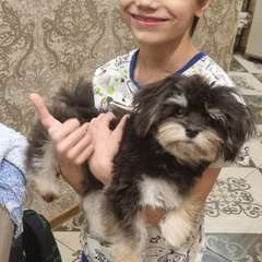 Фото отзыва 11123363