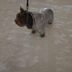 Фото отзыва 10831962