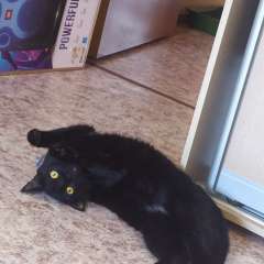 Фото отзыва 10653435