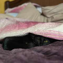 Фото отзыва 10696983