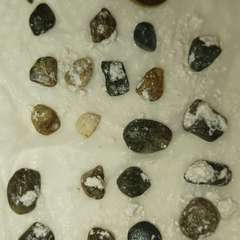 Фото отзыва 11090186