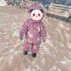 Фото отзыва 10915988