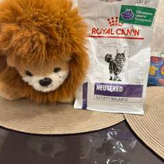 Фото отзыва 10929683