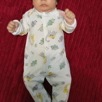 Комбинезон Моя Горошинка: отзыв пользователя Детский Мир