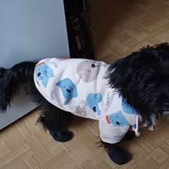 Фото отзыва 10816098