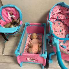 Фото отзыва 11094834