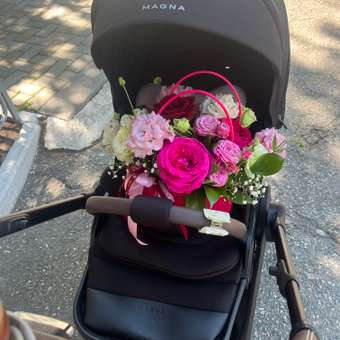 Коляска прогулочная Happy Baby MAGNA черный: отзыв пользователя Детский Мир