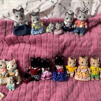 Игровой набор Sylvanian Families Семья Котов-рыбаков: отзыв пользователя Детский Мир