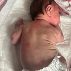 Фото отзыва 11314461