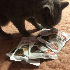 Фото отзыва 10654805