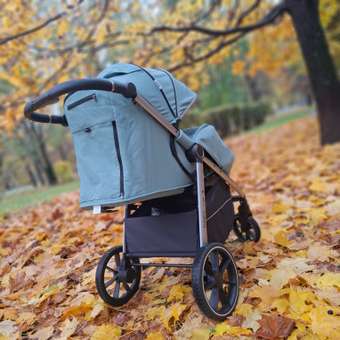 Коляска прогулочная Babyton Cruise зеленый: отзыв пользователя Детский Мир