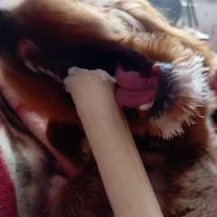 Фото отзыва 11038297