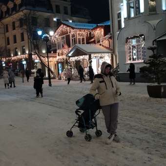 Коляска прогулочная Babyton Zoo Blue: отзыв пользователя ДетМир