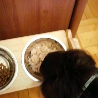 Корм для собак Pet-a-Pet 400г диетический профилактика болезней ЖКТ Gastrointestinal: отзыв пользователя. Зоомагазин Зоозавр