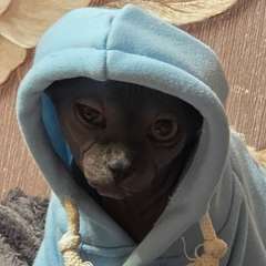 Фото отзыва 11170748