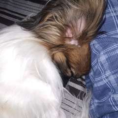 Фото отзыва 10721015