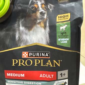 Корм сухой для собак PRO PLAN SENSITIVE DIGESTION 1.5 кг с ягненком для средних пород: отзыв пользователя. Зоомагазин Зоозавр