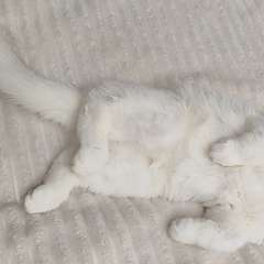 Фото отзыва 11274200