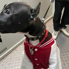 Фото отзыва 11082423