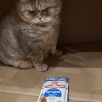 Корм для кошек ROYAL CANIN Light Weight Care для контроля набора веса 85г: отзыв пользователя. Зоомагазин Зоозавр