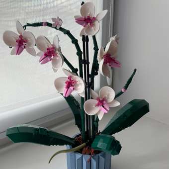 Конструктор LEGO Botanicals Orchid 608 дет.: отзыв пользователя Детский Мир