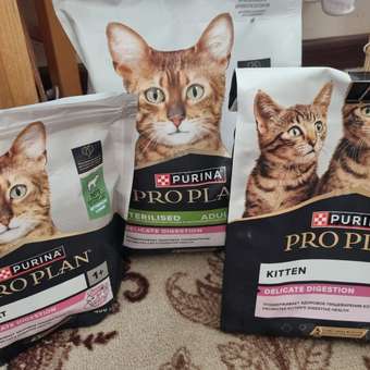 Корм сухой для кошек PRO PLAN DELICATE DIGESTION 1.5 кг с курицей для стерилизованных: отзыв пользователя. Зоомагазин Зоозавр