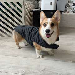 Фото отзыва 10834481