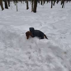 Фото отзыва 11085524