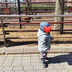 Фото отзыва 11205743