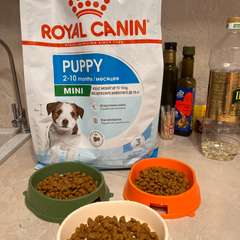 Фото отзыва 10904207