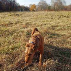 Фото отзыва 10525159