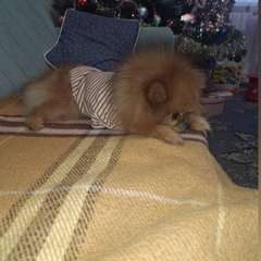 Фото отзыва 10537727